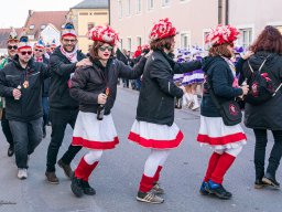 Faschingszug Pressath 2025_68